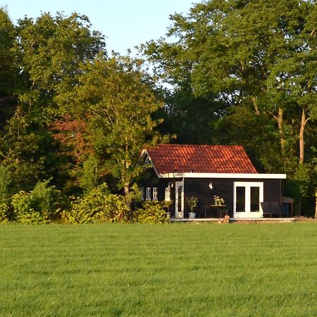Prive In Een Bosrijke Omgeving Welkom Bij Gastenverblijf Het Ontsnapte Schaap In Jubbega Zewnętrze zdjęcie