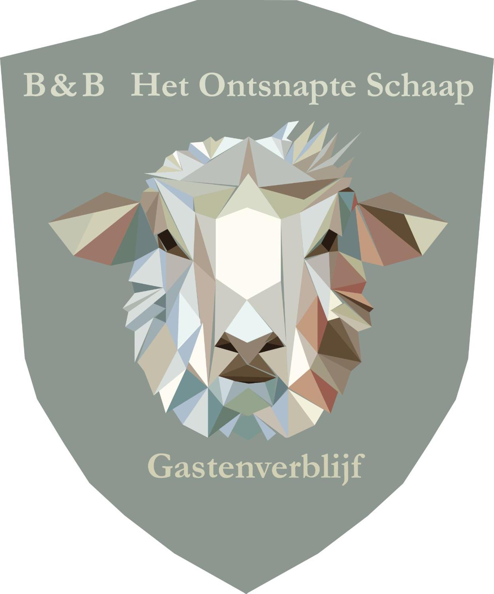 Prive In Een Bosrijke Omgeving Welkom Bij Gastenverblijf Het Ontsnapte Schaap In Jubbega Zewnętrze zdjęcie
