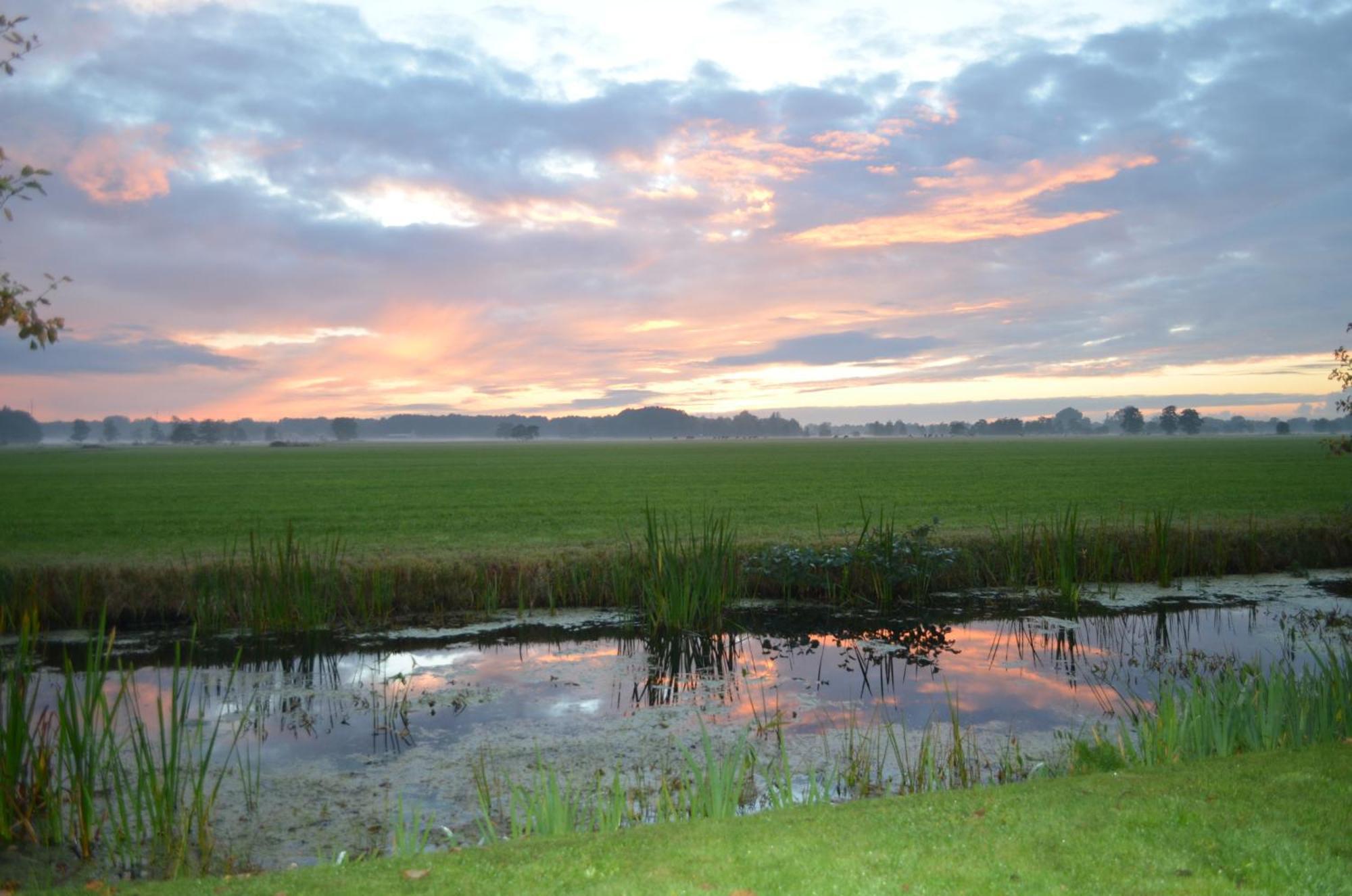 Prive In Een Bosrijke Omgeving Welkom Bij Gastenverblijf Het Ontsnapte Schaap In Jubbega Zewnętrze zdjęcie